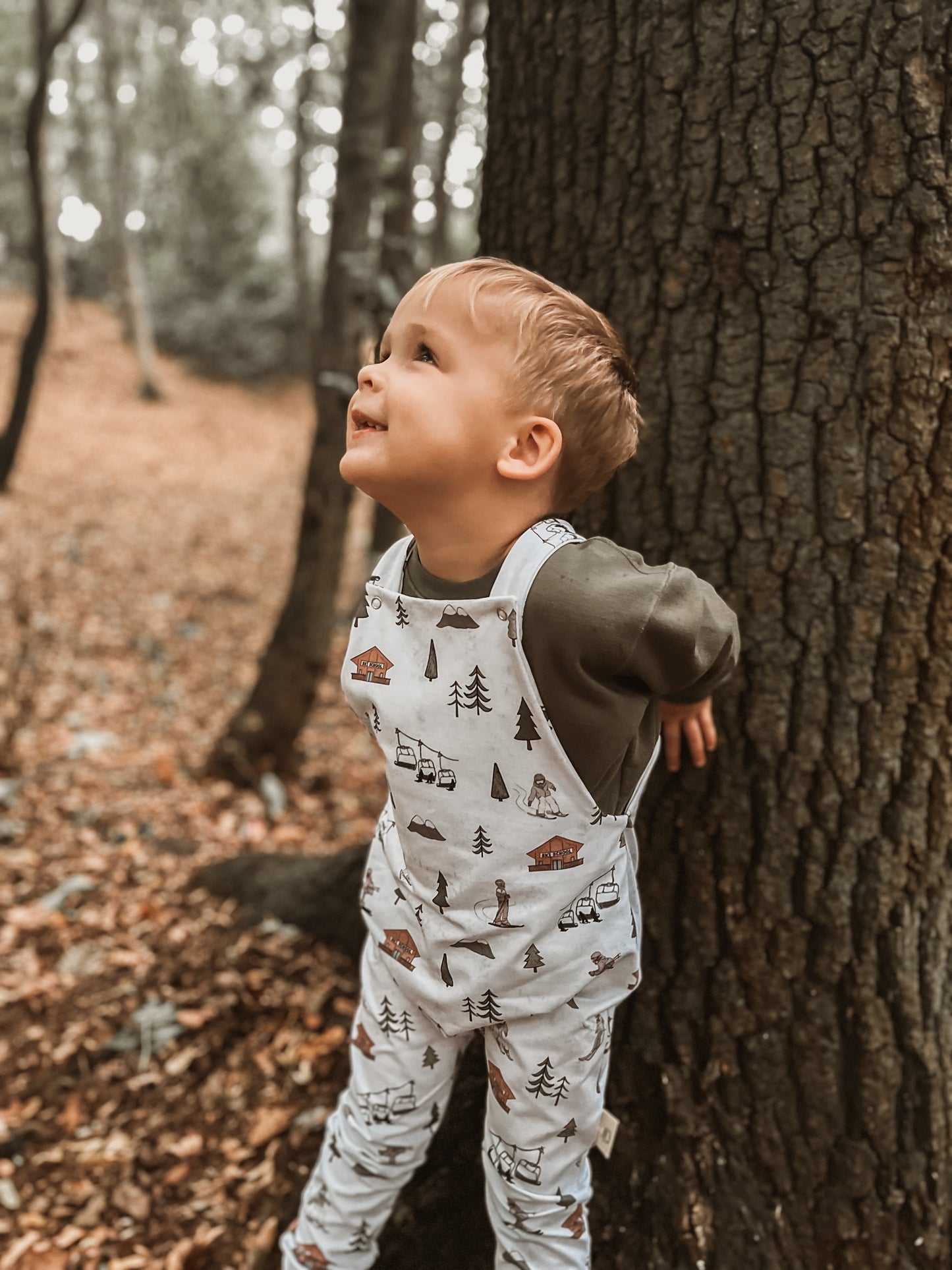 Alpine Adventures Dungarees