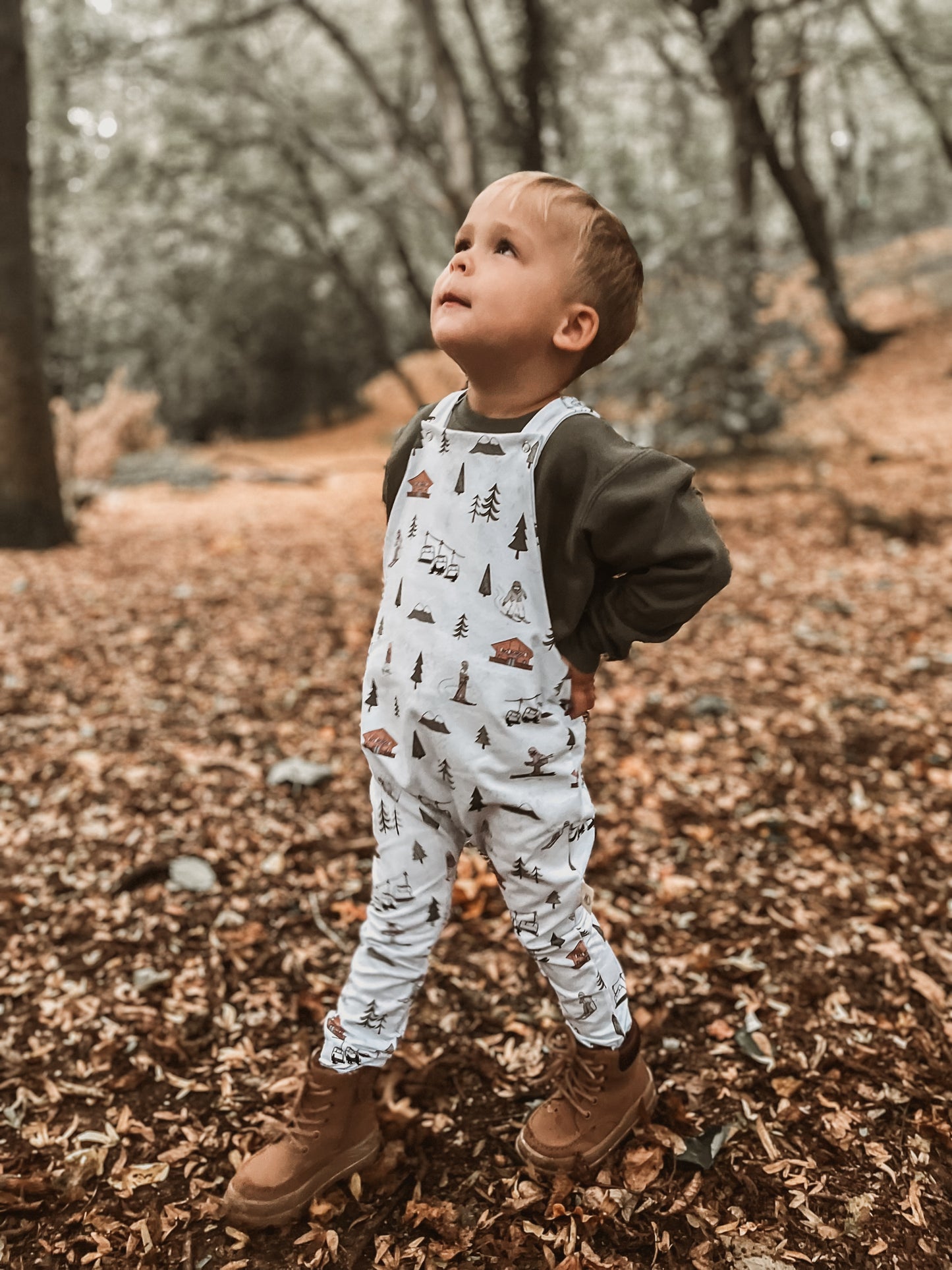 Alpine Adventures Flutter Sleeve Dress