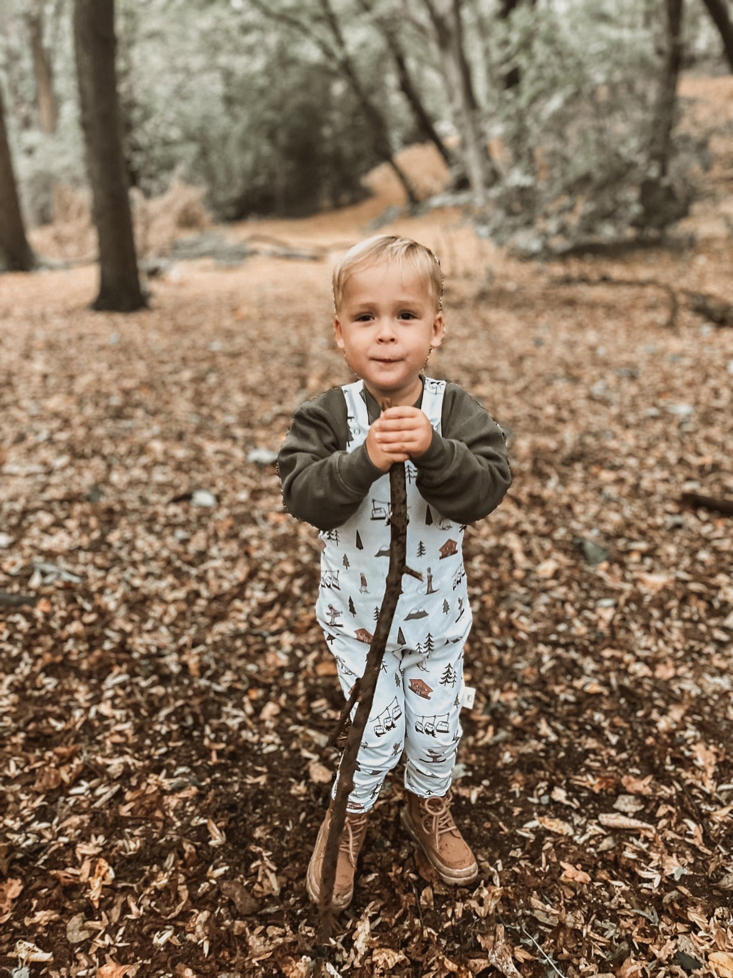 Alpine Adventures Flutter Sleeve Dress