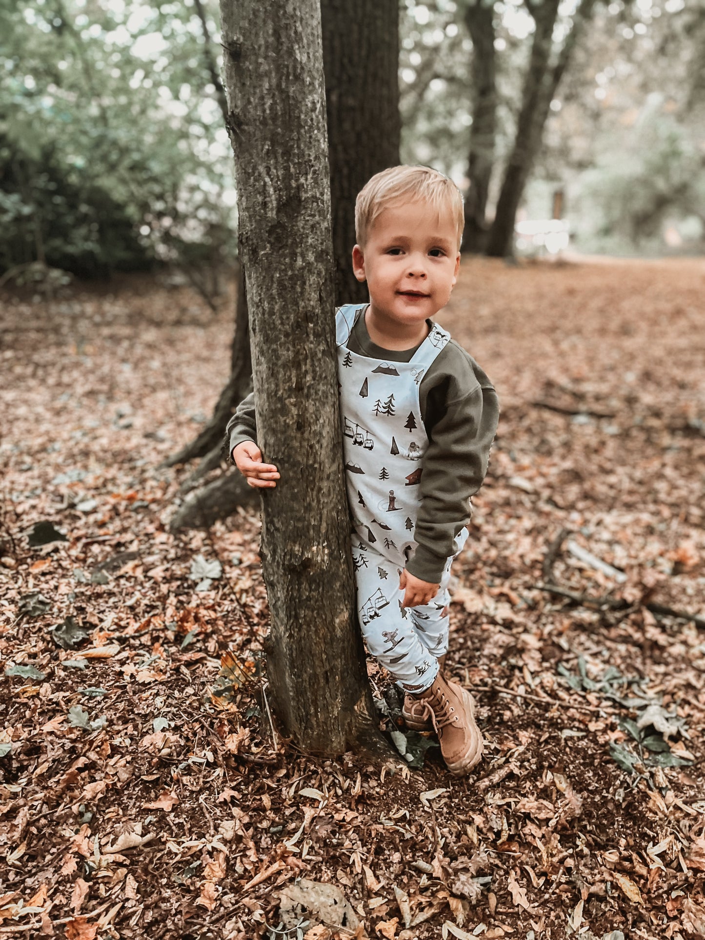 Alpine Adventures Dungarees