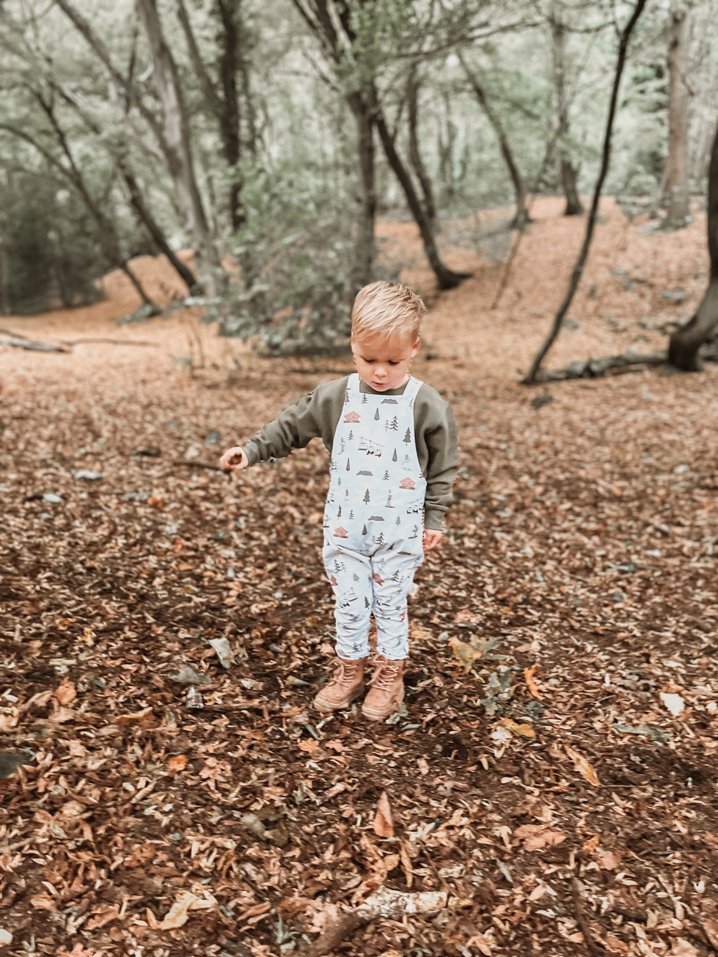 Alpine Adventures Dungarees