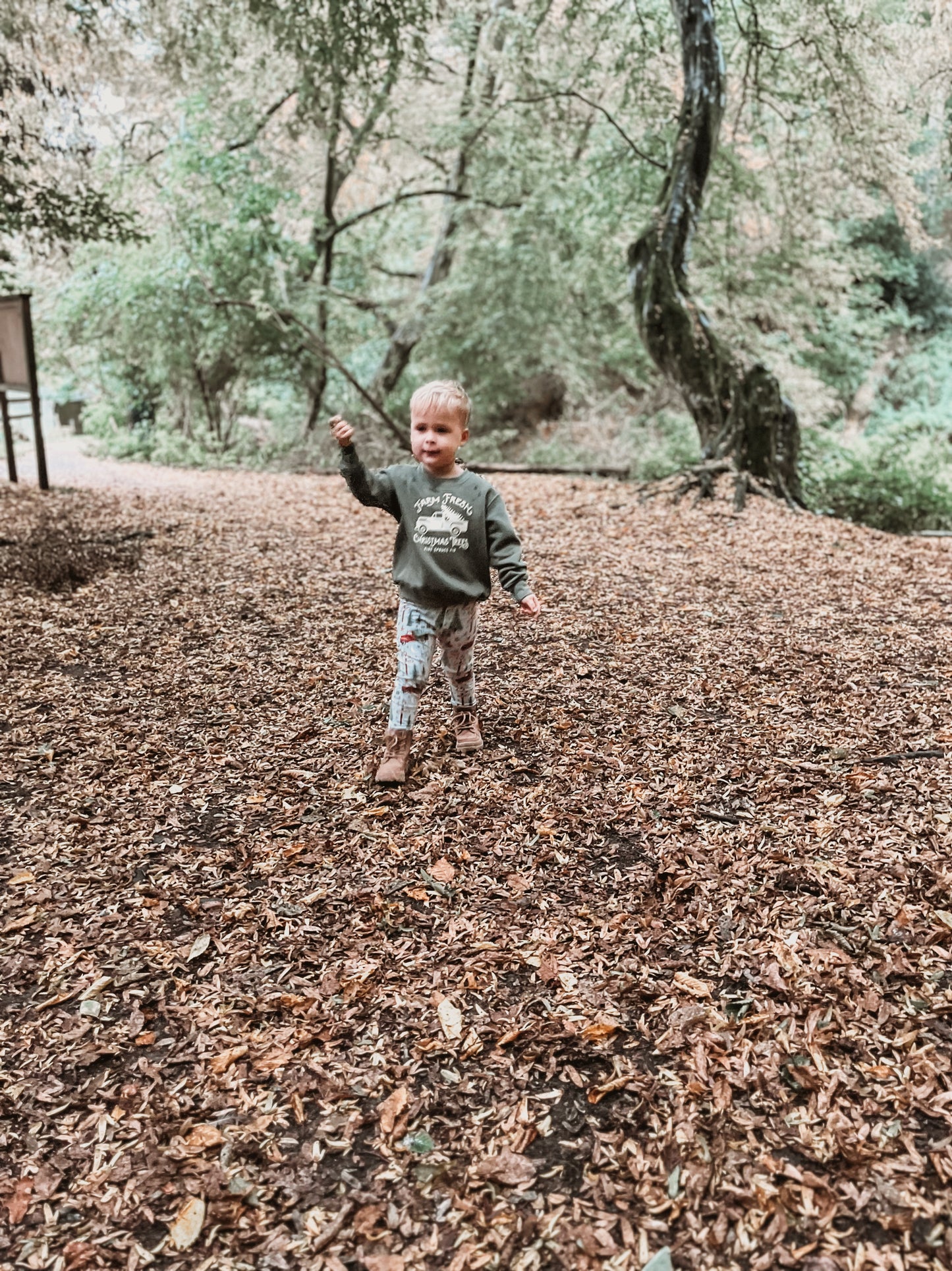 Christmas Tree Farm Long Pyjamas