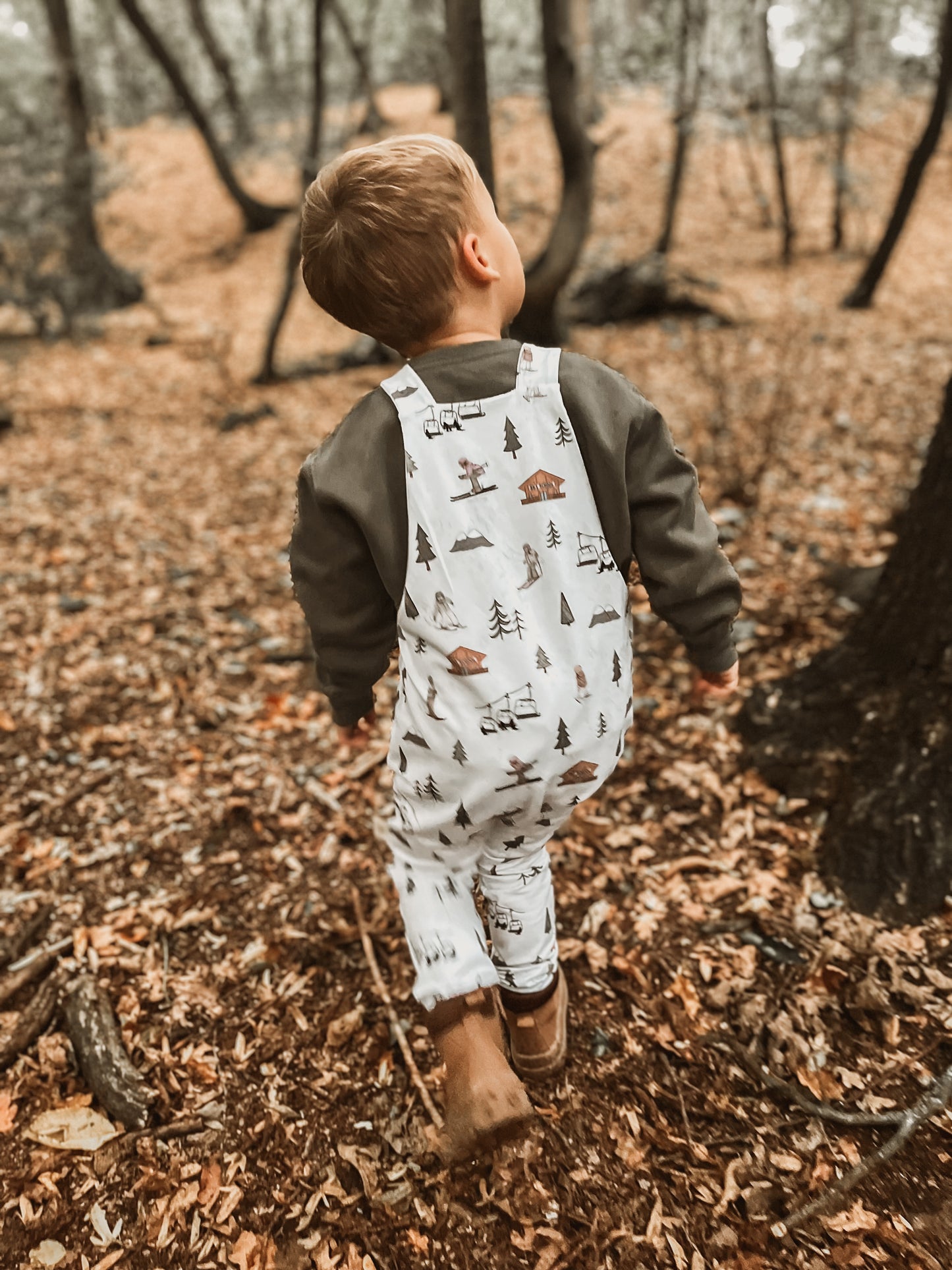 Alpine Adventures Flutter Sleeve Dress