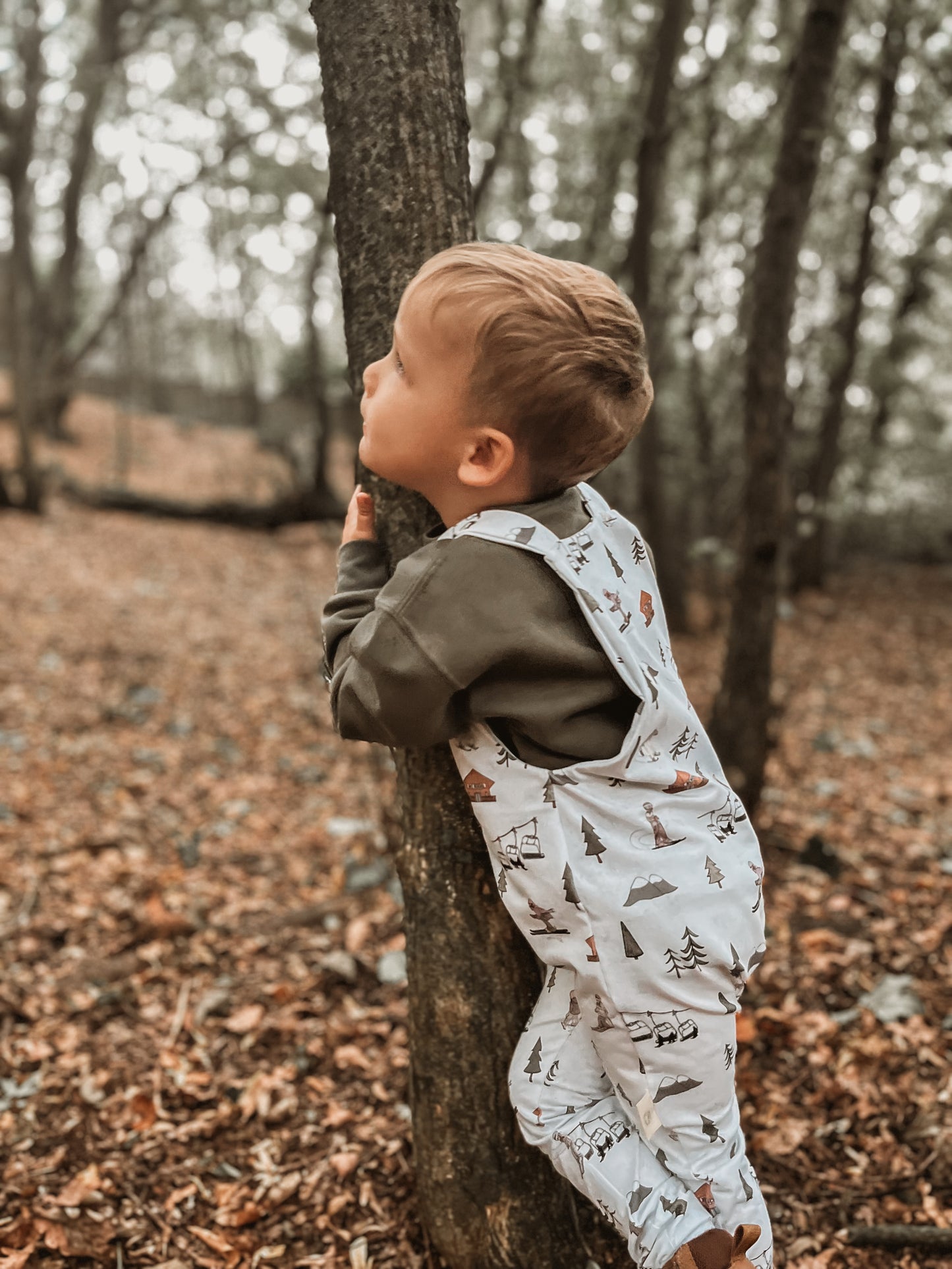 Alpine Adventures Short Pyjamas