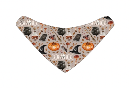 Witch's Brew Bandana Bib