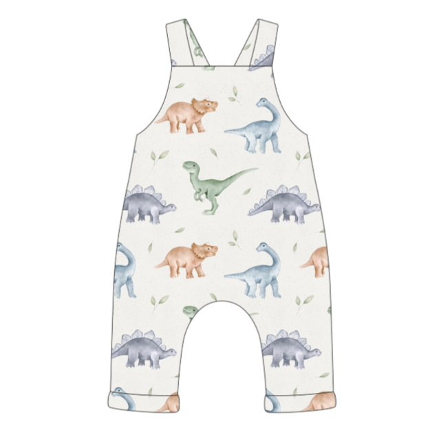 Dino Friends Dungarees